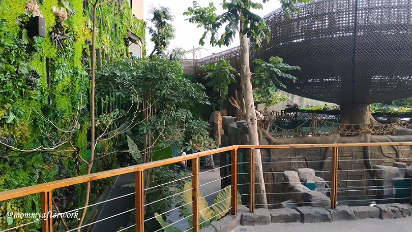 Cebu Ocean Park Jungle Trek Decors