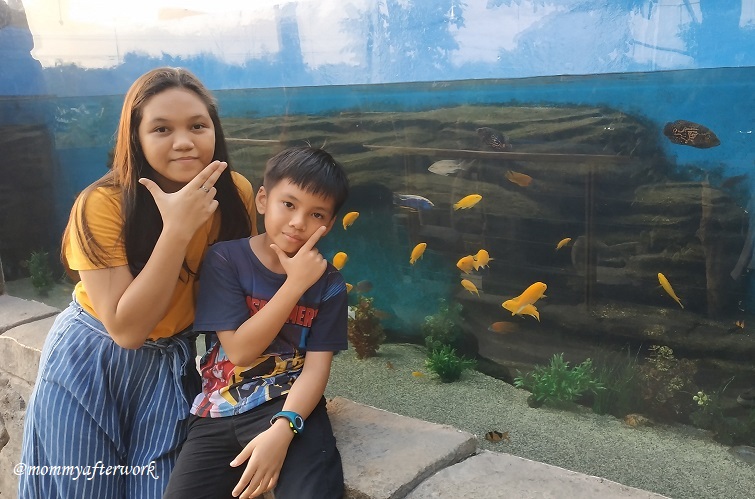 Cebu Ocean Park Jungle Trek Fishes